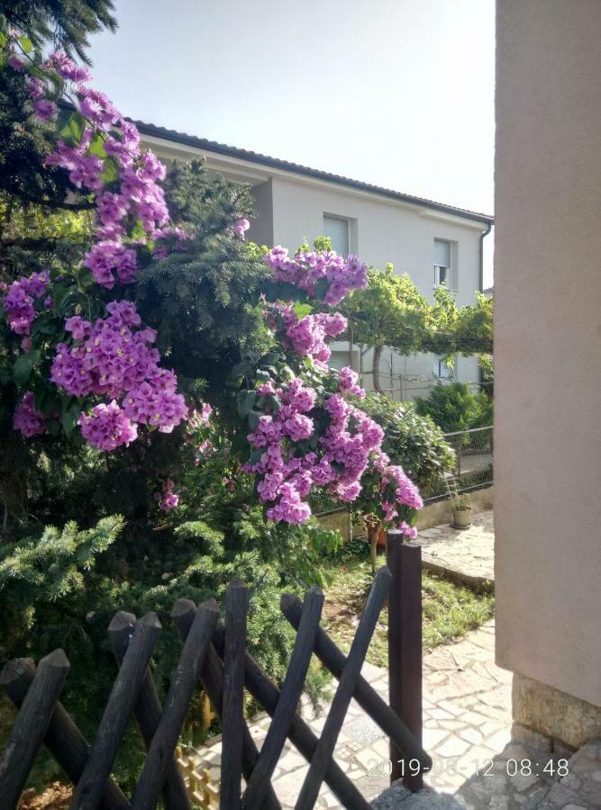 Apartman Vivian Pula Exterior photo